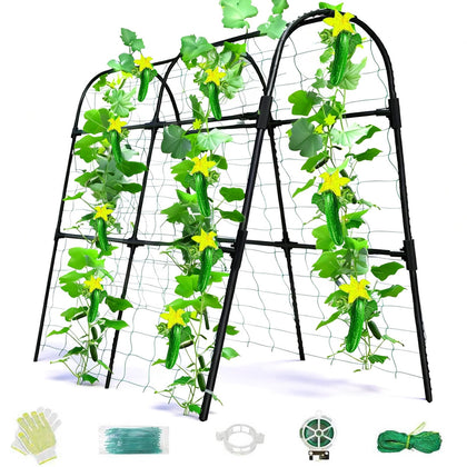 Laodier cucumber trellis in U-shape arch, front view for stable raised beds