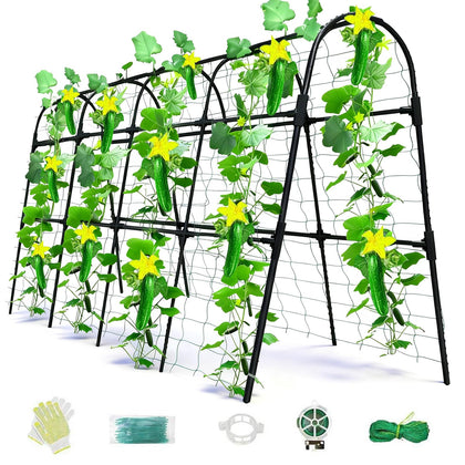 Laodier U-Shape cucumber trellis provides stable support for climbing cucumbers.