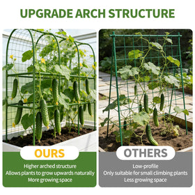 Laodier garden clips and ties simplify adjustable plant support.