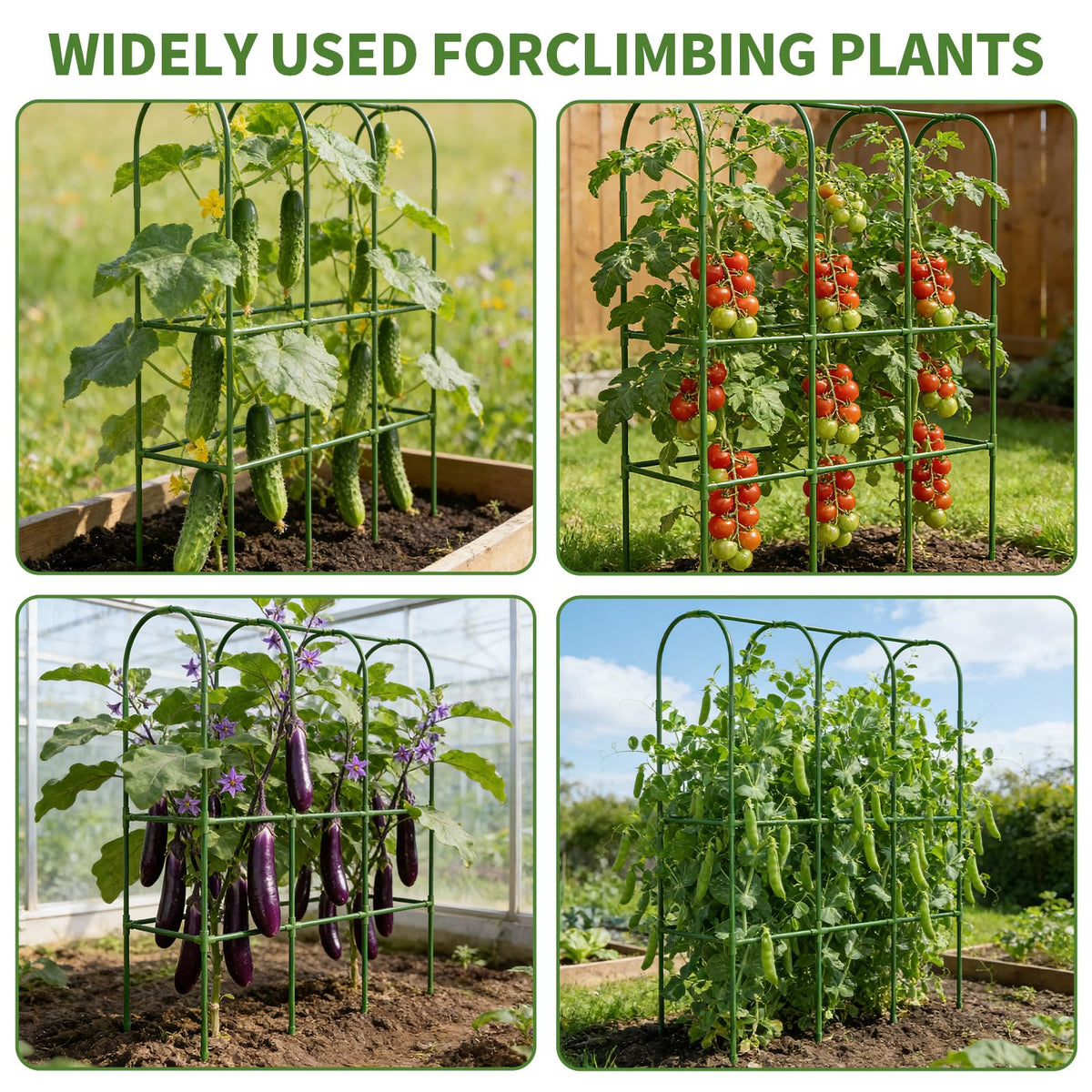 Laodier packaging includes trellis, clips, ties, netting and manual.