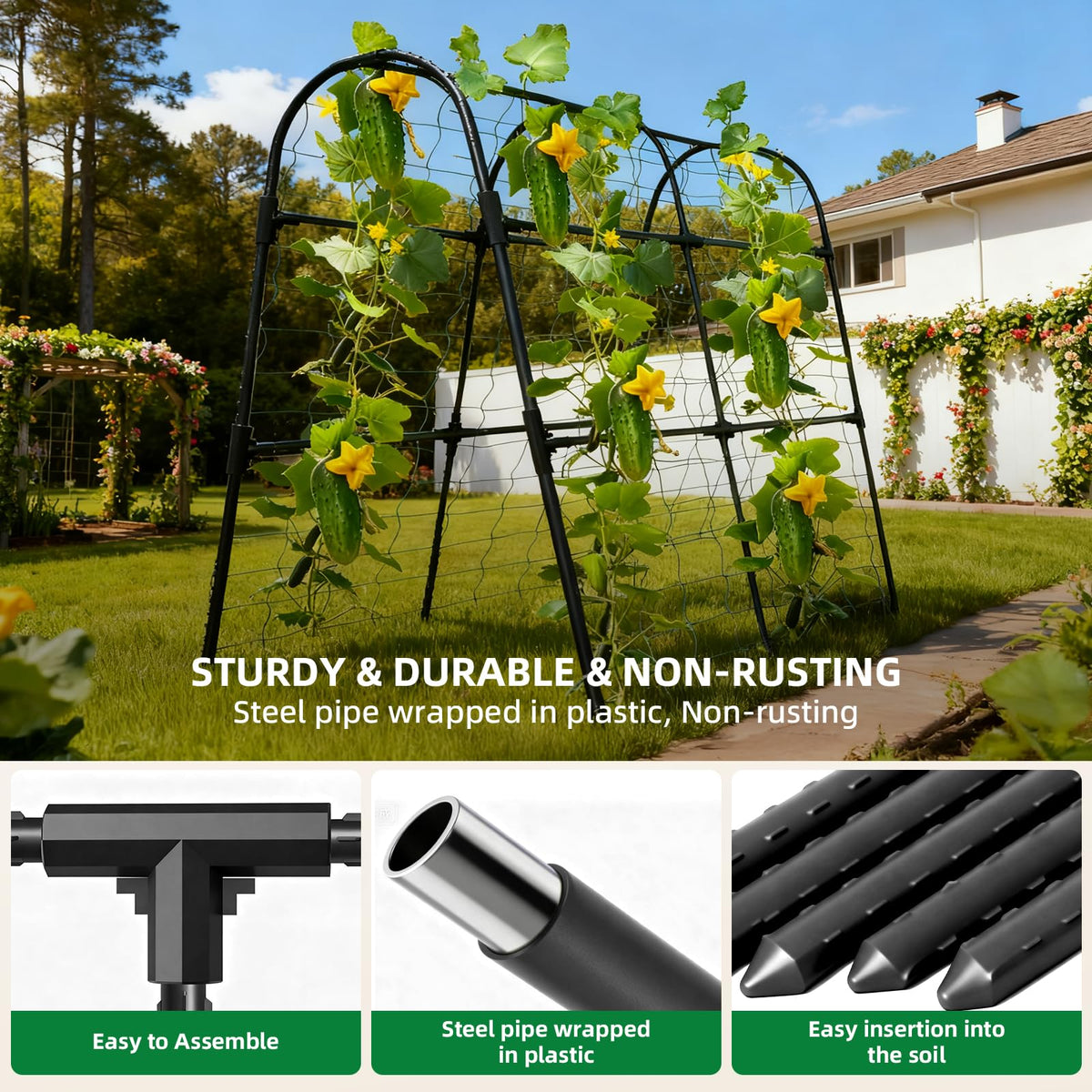 Laodier plant support for cucumbers and peas in a raised bed