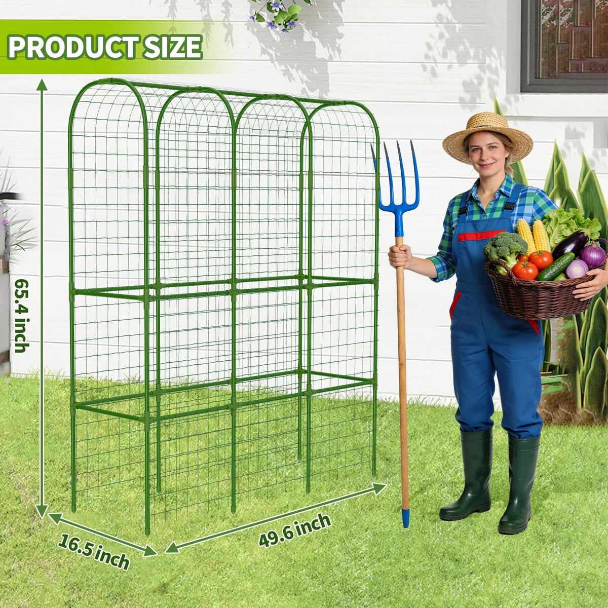 Laodier rustproof metal-clad trellis prevents rust while protecting vines.