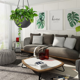 LAOJU indoor-outdoor planter fits walls, windows, ceilings
