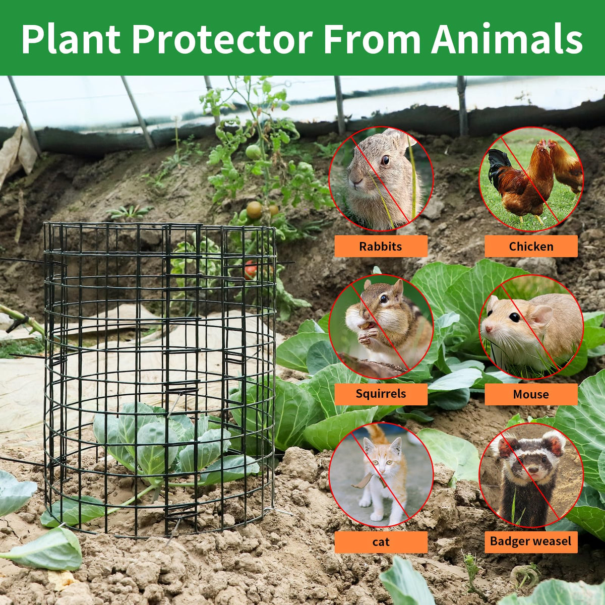 LAPEQQIOJEJ plant protector rectangle 6 panels creates sturdy shelter for tall plants.