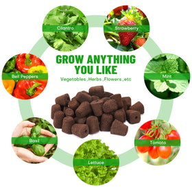 LAPOND 40-pcs seed starter kit supports herbs, vegetables, and flowers.