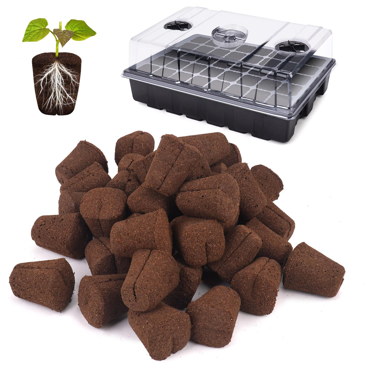 LAPOND grow sponges with tray for easy seed starting and organized planting.