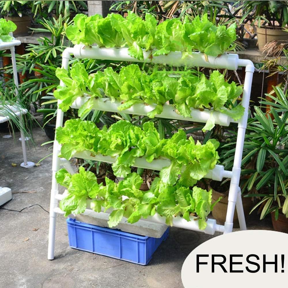 LAPOND planting sponge supports seed germination and easy transplant into pipes