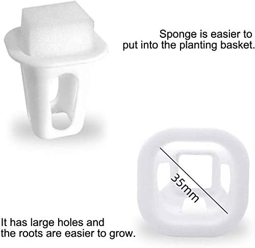 LAPOND square planting cups for organized seedling trays