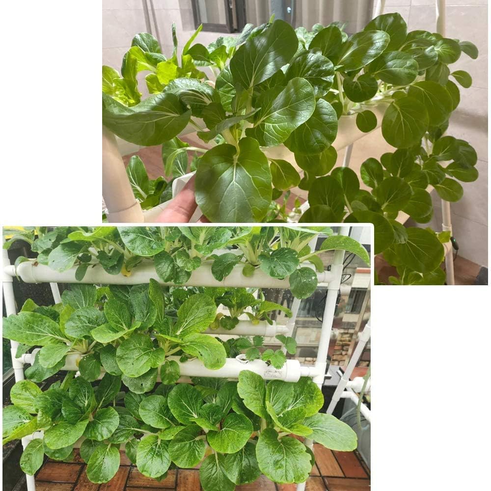LAPOND tweezers tool helps precise seedling placement