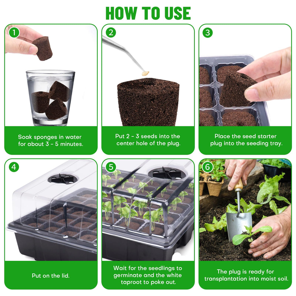 LAPOND plug in tray supports healthy root development.