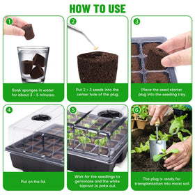 LAPOND plug in tray supports healthy root development.