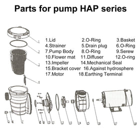 LAPPPLSP installation-ready pump suggesting straightforward setup for above-ground pools.