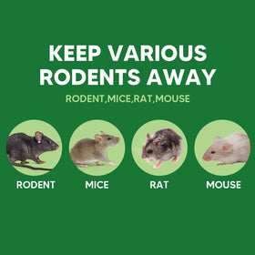 LAQDECDV mint aroma pouch placed in pantry to deter rodents