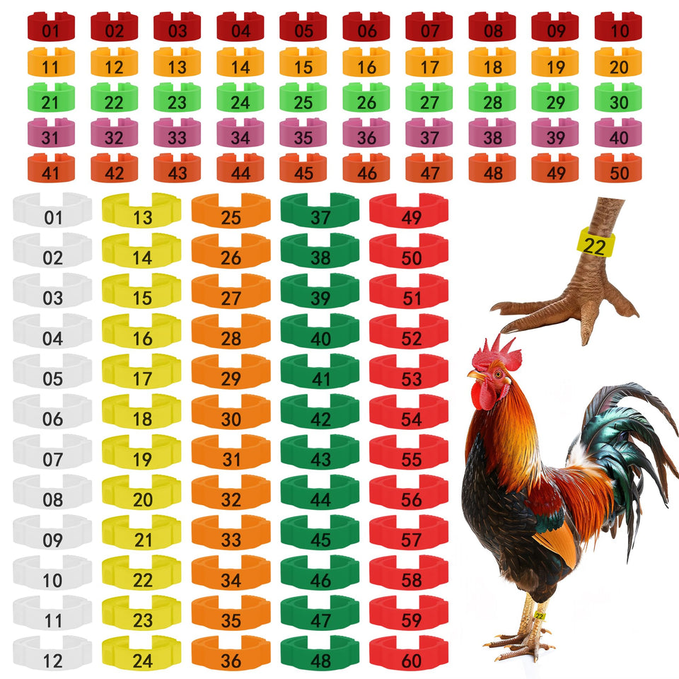 Larbeti chicken leg rings 110pcs two sizes for versatile tagging of poultry.