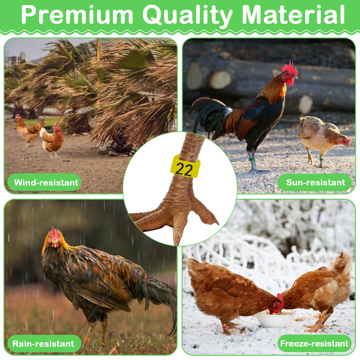 Larbeti durable safe plastic material designed for long-lasting poultry use.