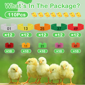 Larbeti versatile rings suitable for chicken, duck, pigeon, and other birds.