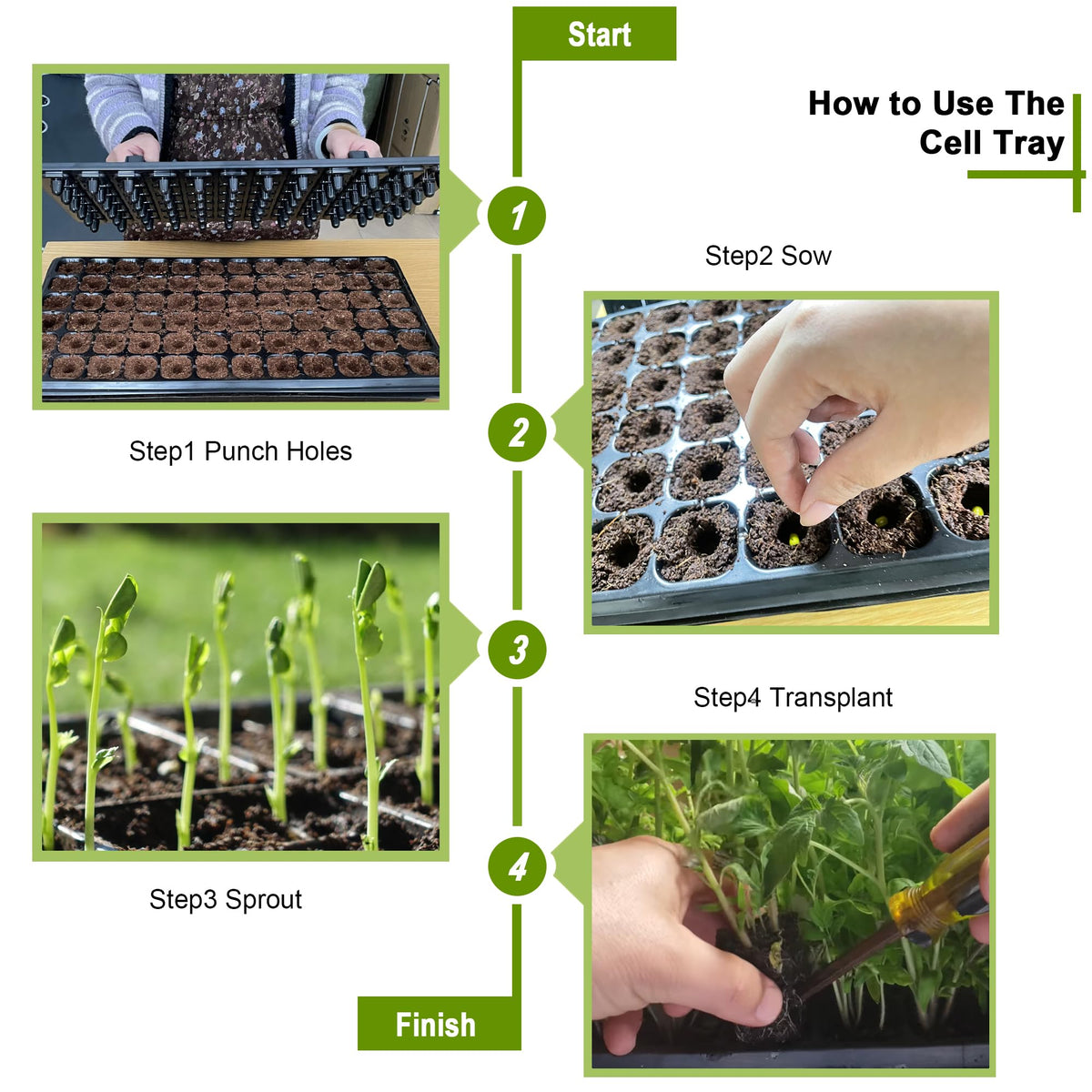 LARNORJE seedling trays used for microgreens and starter crops