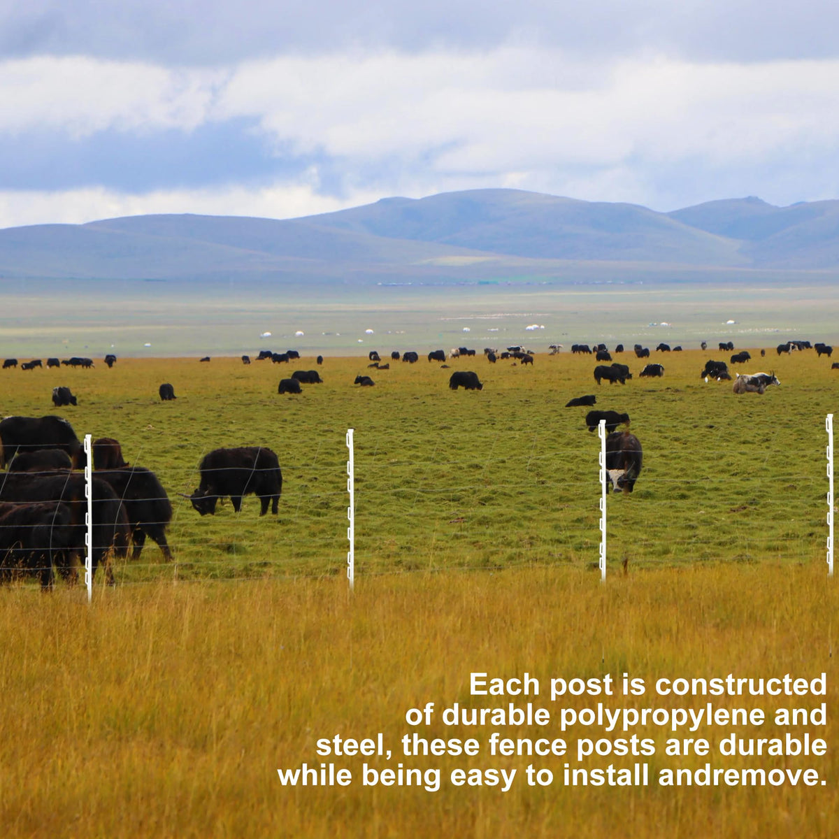 LARNORJE versatile posts can support decorations or plant stakes when not fencing.