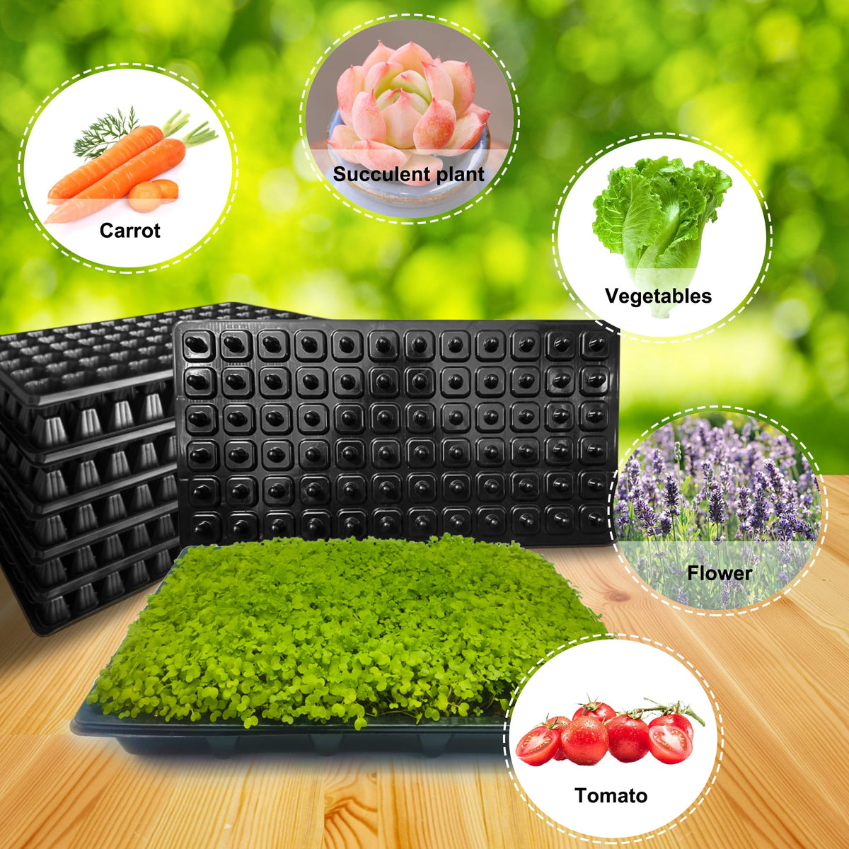 LARNORJE plant labels help distinguish varieties on seedling trays