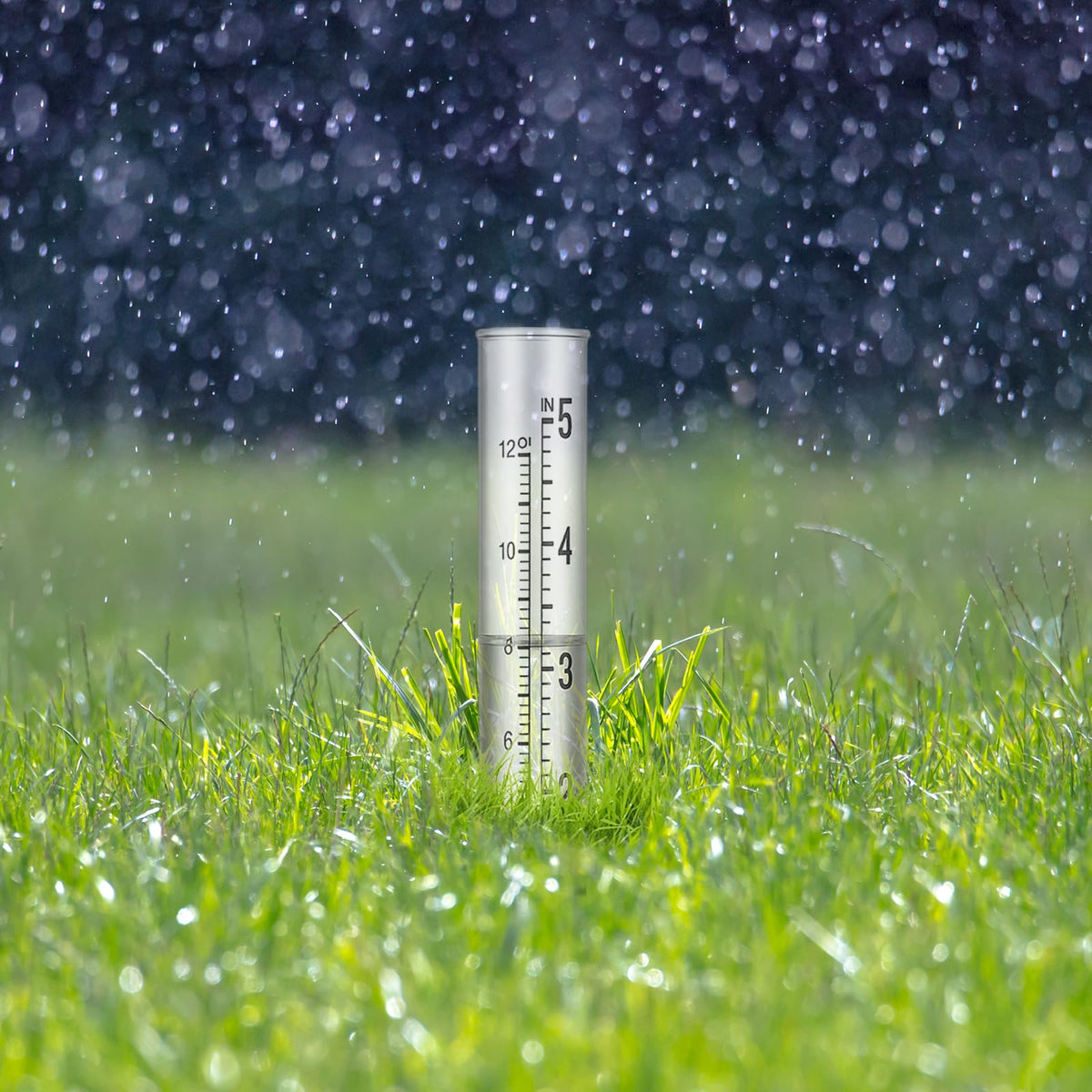 Larrel durable transparent rain gauge tubes withstand weather while staying readable.