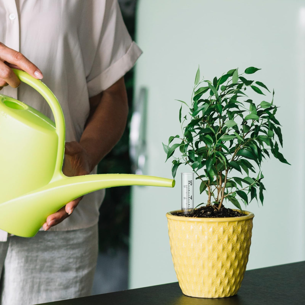 Larrel outdoor rain gauge tubes help monitor rainfall accurately in gardens.
