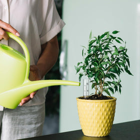 Larrel outdoor rain gauge tubes help monitor rainfall accurately in gardens.