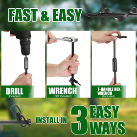 Lasnten belt straps offer wide, bark-friendly tension to support upright growth.