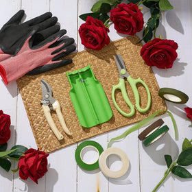 Lasnten gift-ready rose care kit for special occasions.