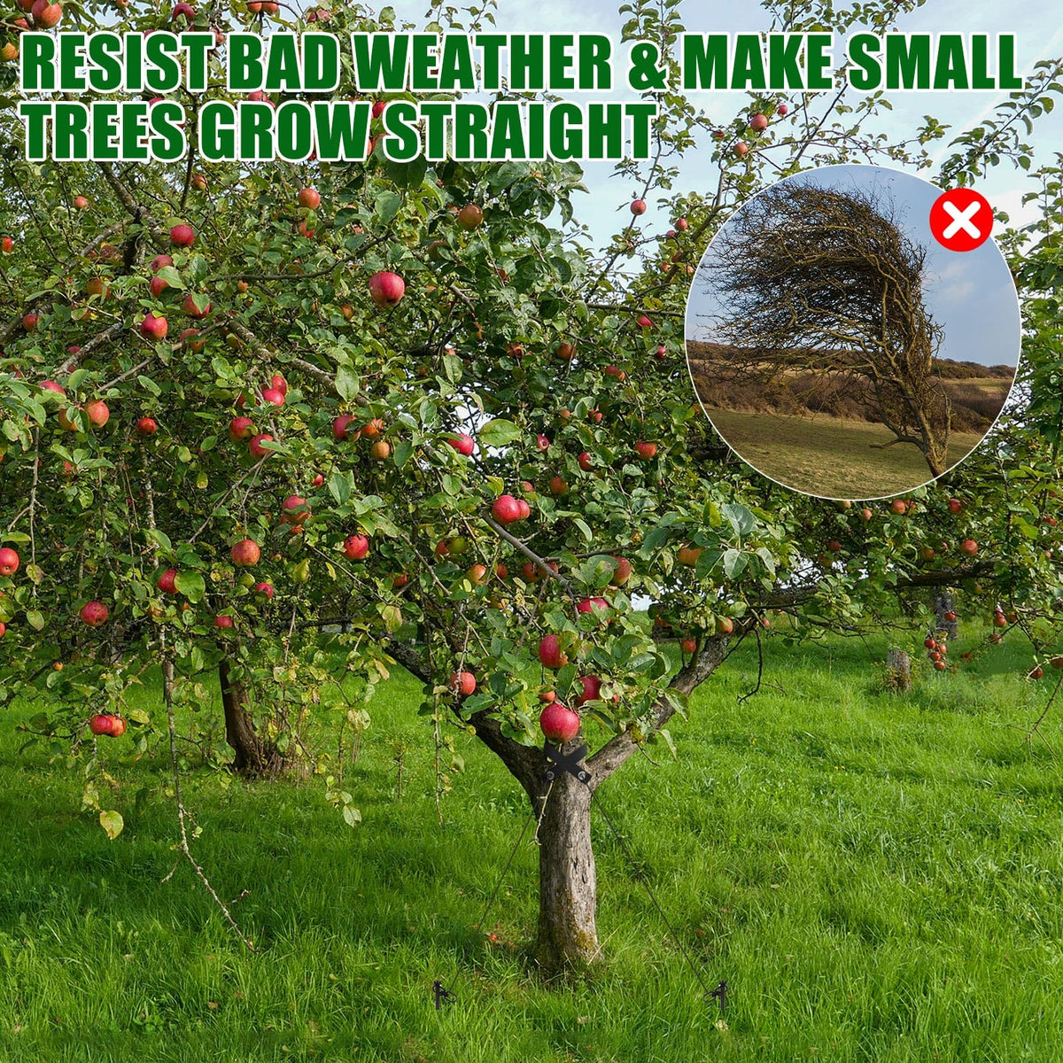 Lasnten power nut driver enables efficient, tool-assisted installation for faster staking.