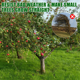 Lasnten power nut driver enables efficient, tool-assisted installation for faster staking.