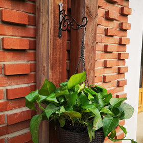 Two-pack Lassos Boutique N+A Sunshine brackets for wall decor