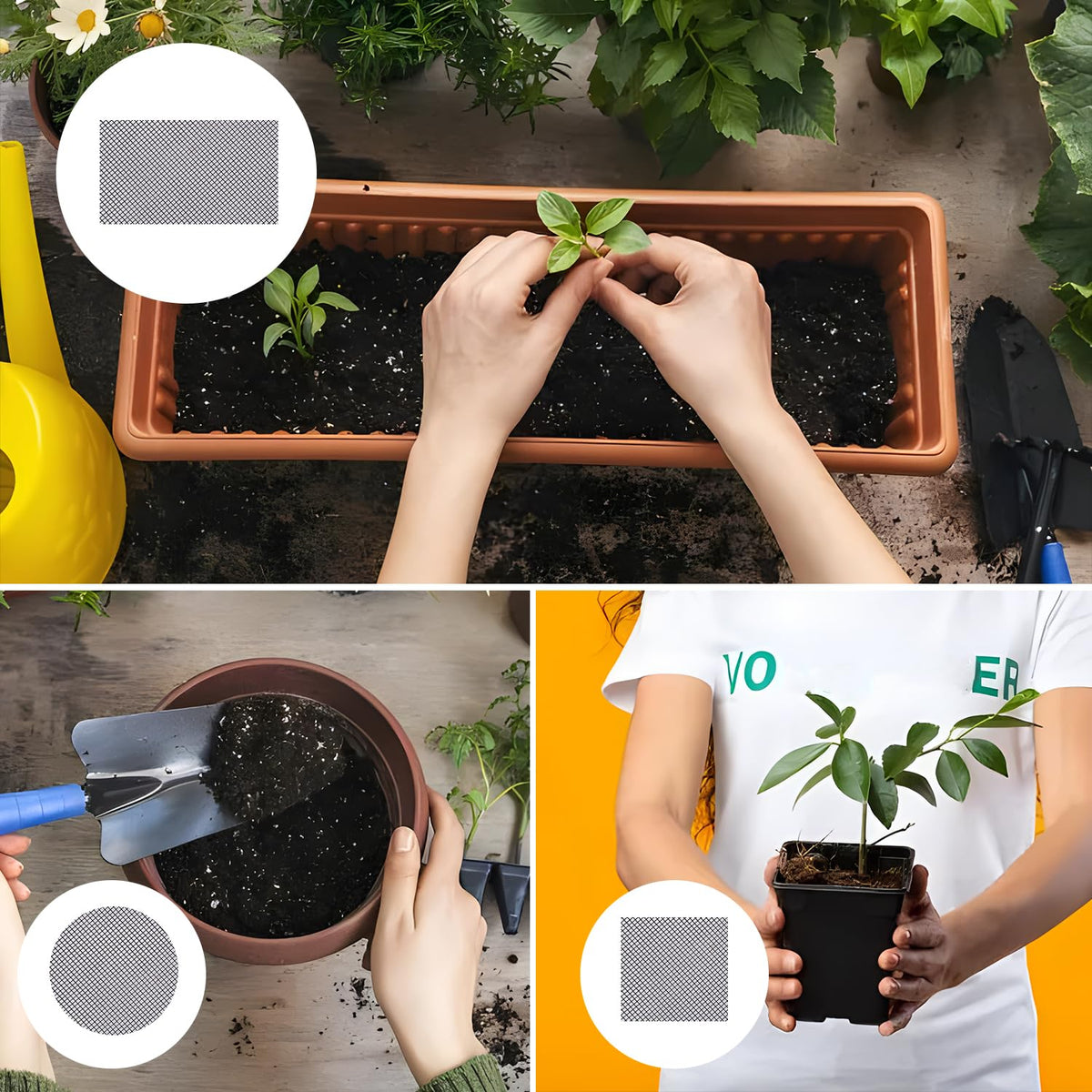 Lasuroa 2.5 mm hole mesh pad supports optimal drainage in pots.