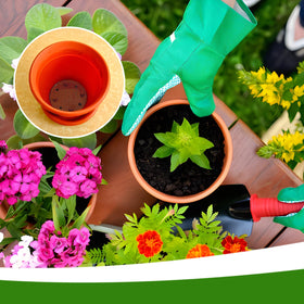Lasuroa multi-pad setup shows how to cover larger or irregular pot bottoms.