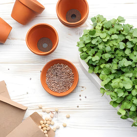 Lasuroa polyethylene mesh screen is durable and reusable for garden pots.
