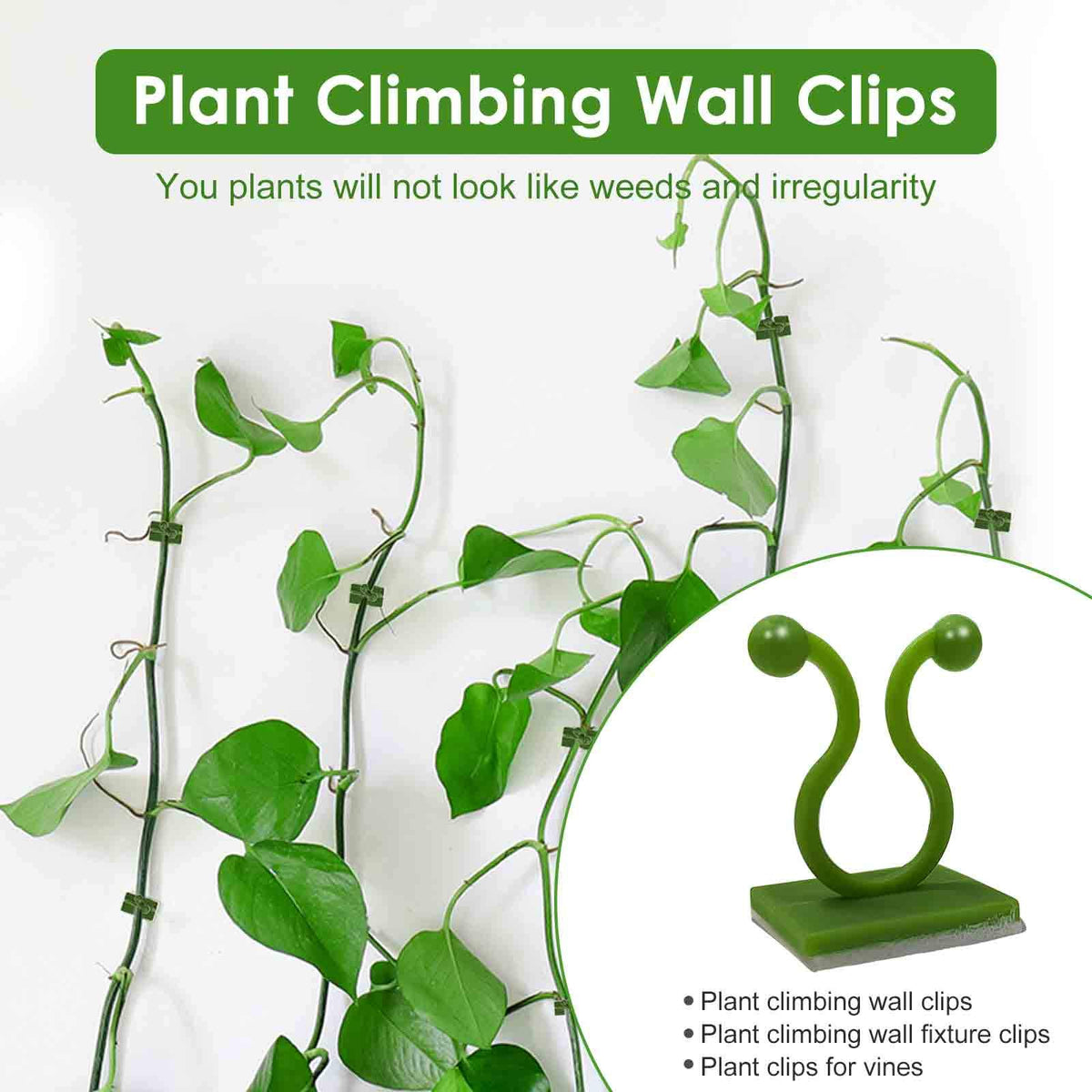 Lasyman medium-size clip guiding climbing plants up a wall
