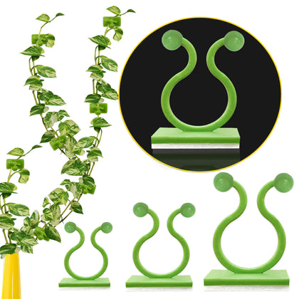 Lasyman small-size plant clip securing a delicate vine on a wall for neat growth