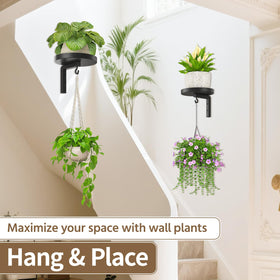 LASZOLA 8-inch trays fit varied pots for flexible display options.