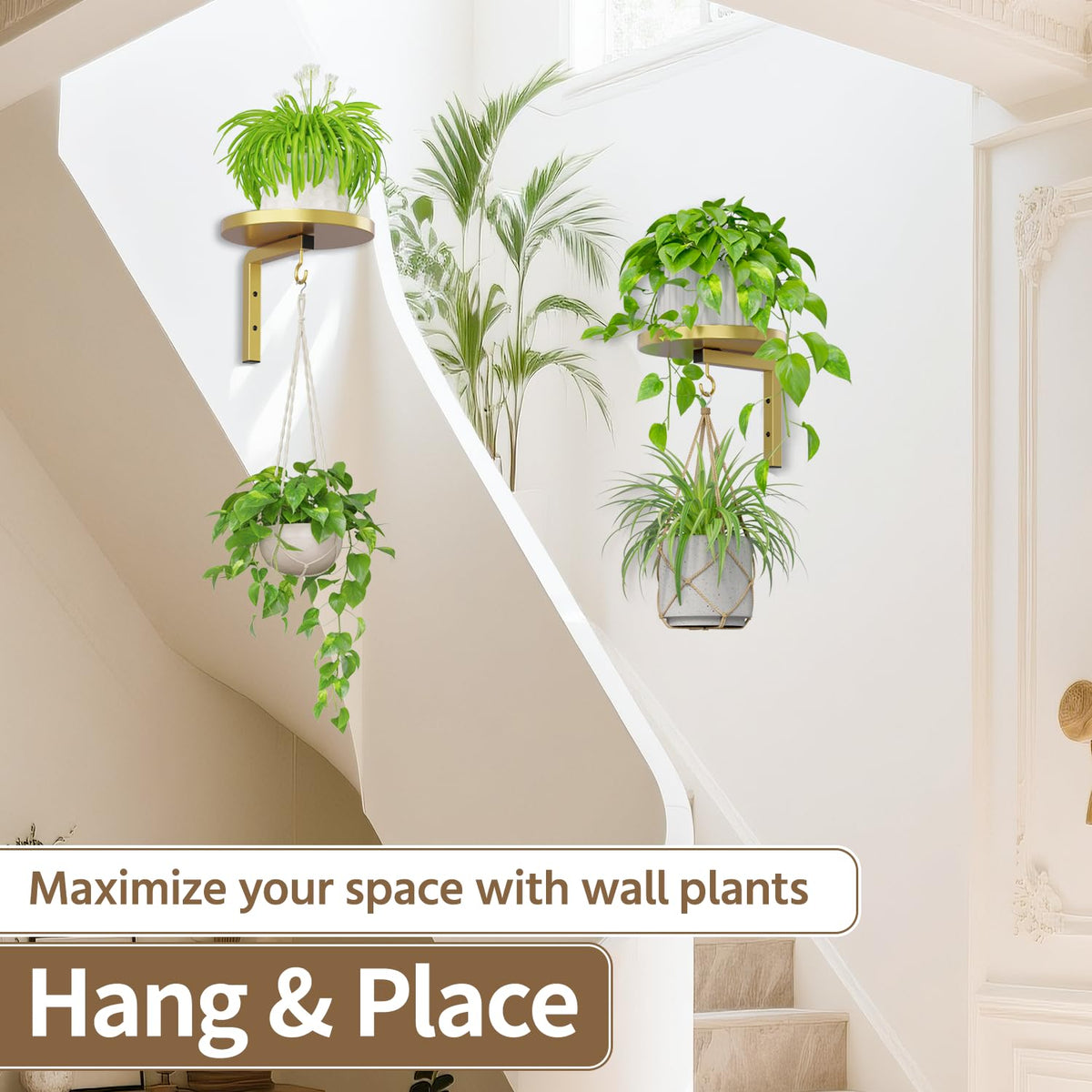 LASZOLA gold metal display elevates plants in a modern two-pack