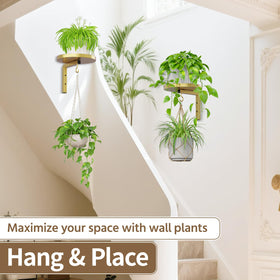 LASZOLA gold metal display elevates plants in a modern two-pack