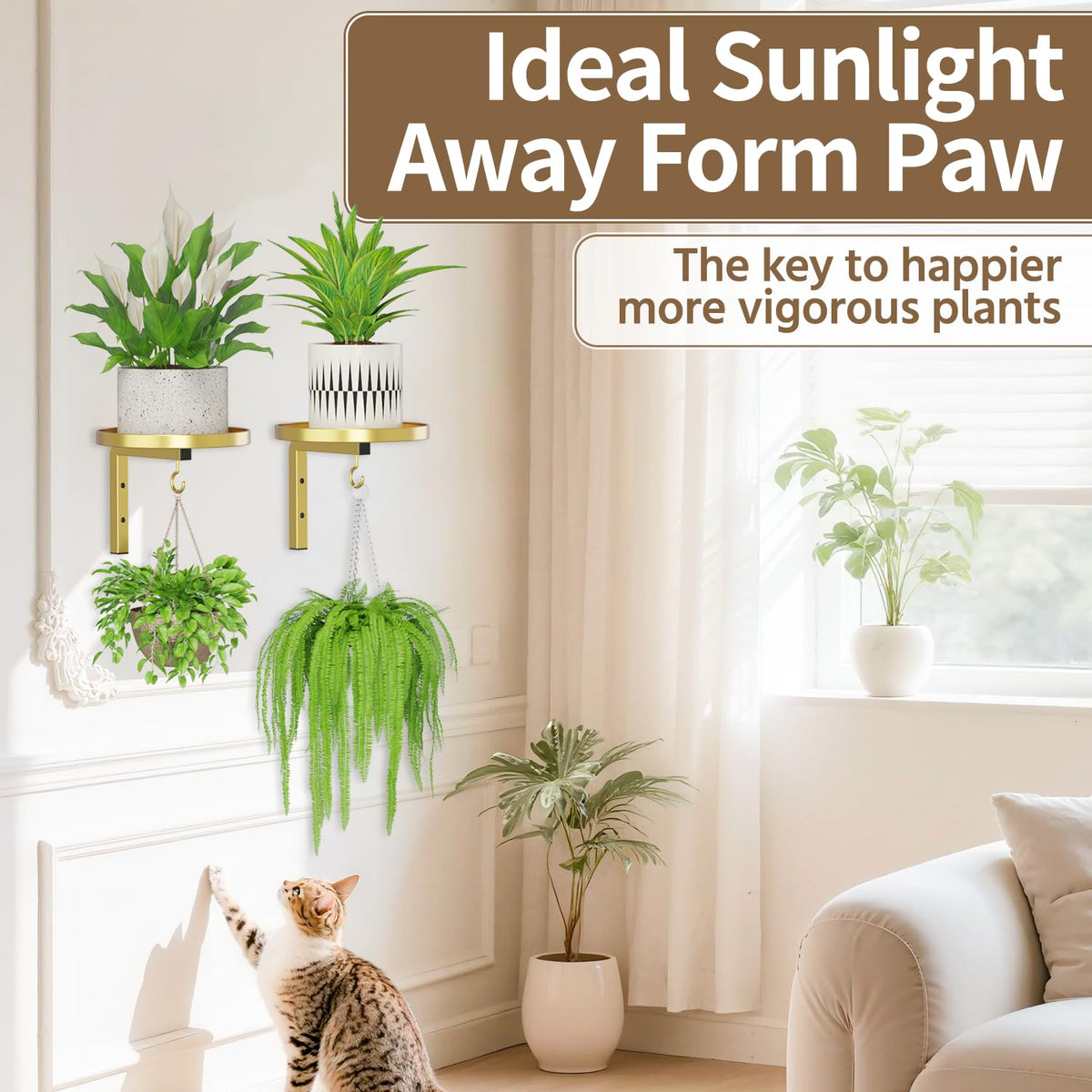 LASZOLA pet proof elevation protects leaves from curious paws