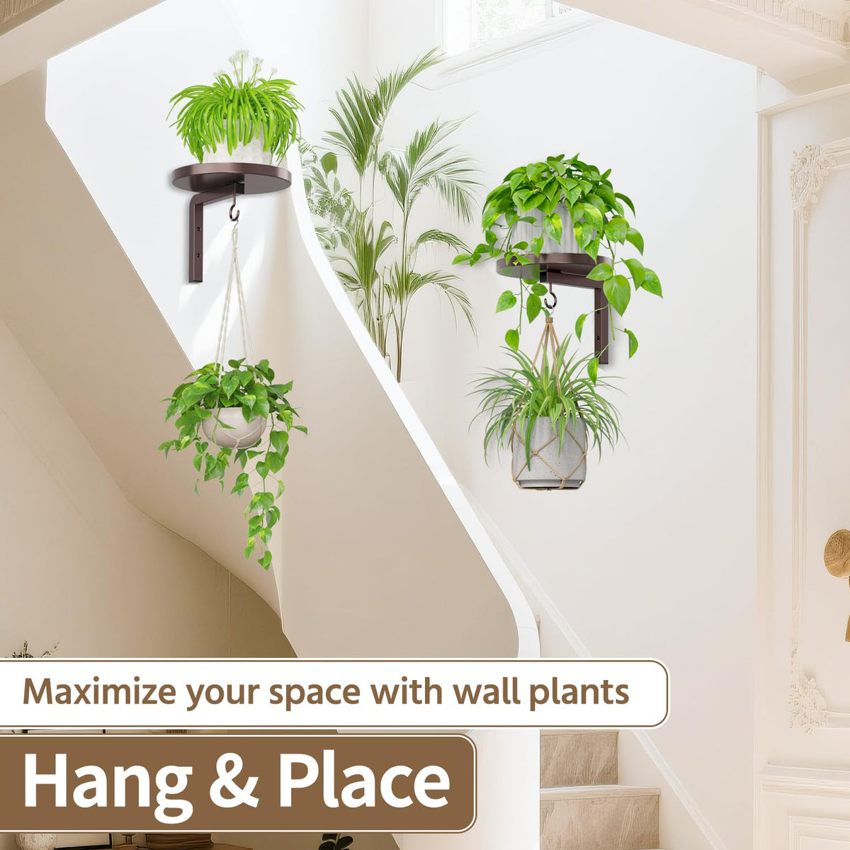 LASZOLA pet proof elevation keeps plants safe from claws