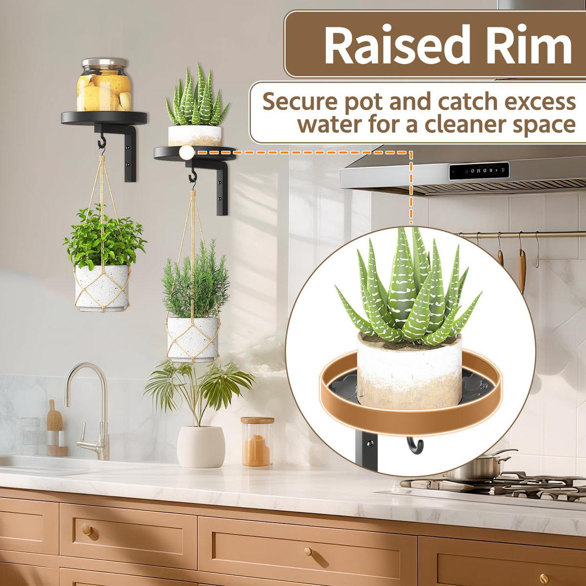 LASZOLA pet-proof elevation keeps plants safe from curious paws.