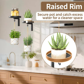 LASZOLA pet-proof elevation keeps plants safe from curious paws.
