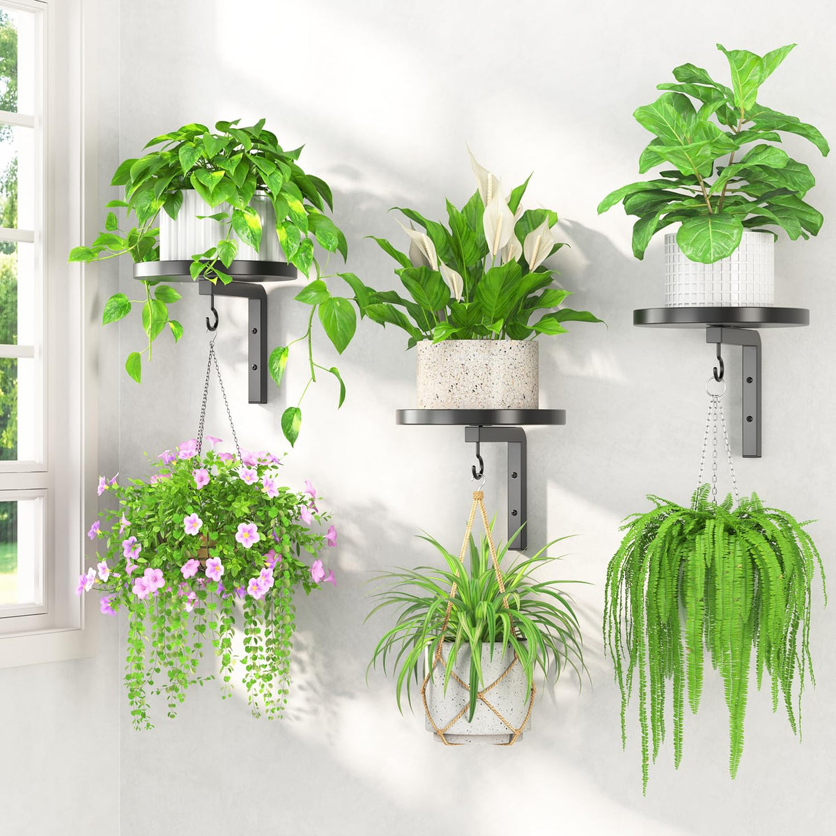 LASZOLA plant hanger wall-mounted 3-pack showcases space-saving wall display for multiple plants.