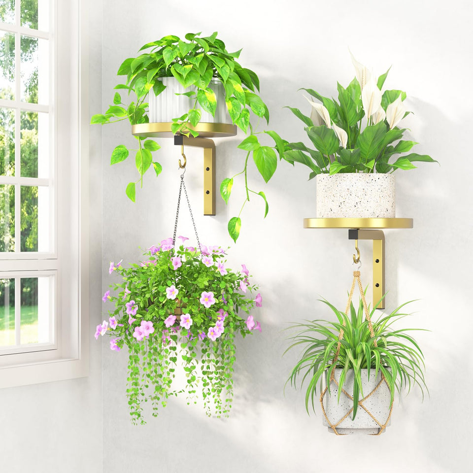 LASZOLA gold wall mounted plant hangers create a compact indoor display