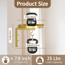 LASZOLA two-hanger system saves wall space for four plants
