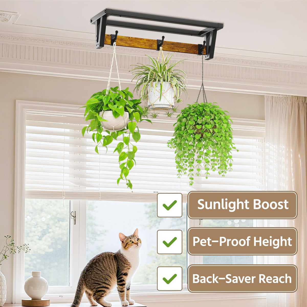 LASZOLA rustproof finish resists wear, keeping plants safe indoors or outdoors.