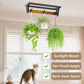 LASZOLA rustproof finish resists wear, keeping plants safe indoors or outdoors.