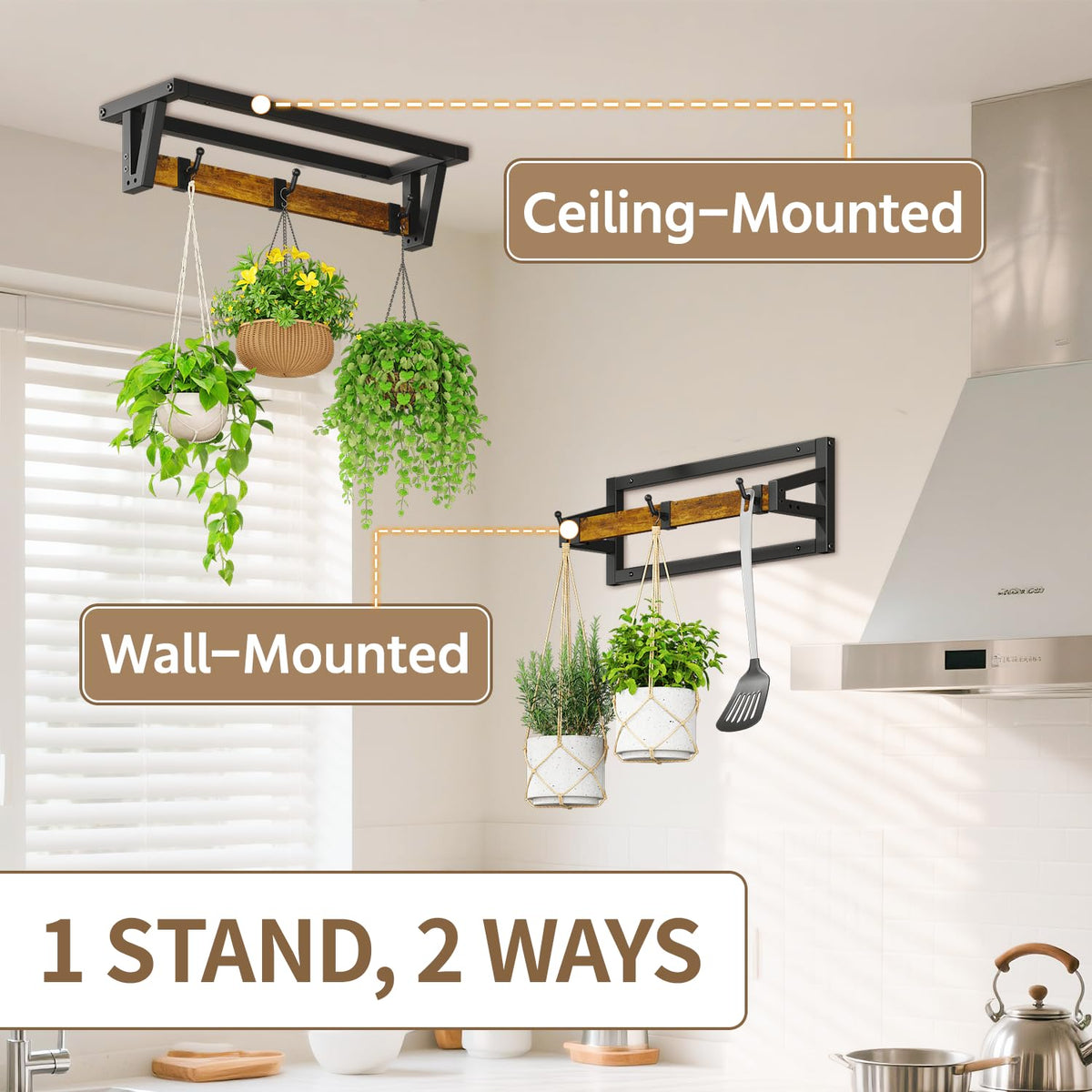LASZOLA space-saving design frees floor and desk areas for greener setups.