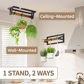 LASZOLA space-saving design frees floor and desk areas for greener setups.
